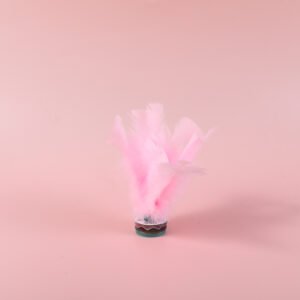 Pluma de ping pong de siete colores