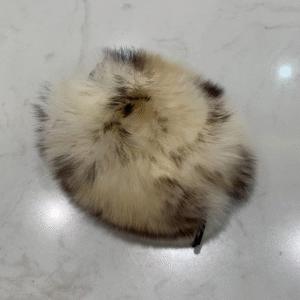 Clip de cola de caballo de peluche